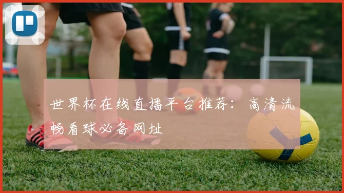 世界杯在线直播平台推荐：高清流畅看球必备网址