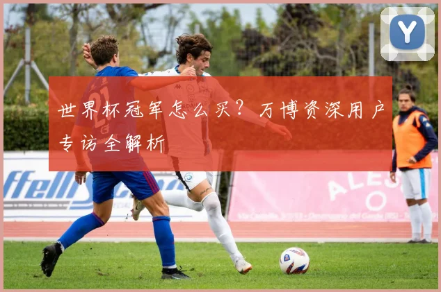 世界杯冠军怎么买？万博资深用户专访全解析