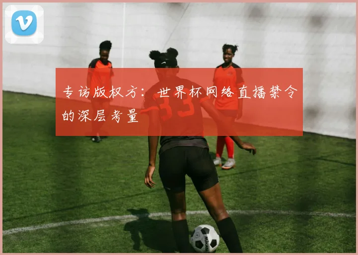 专访版权方：世界杯网络直播禁令的深层考量