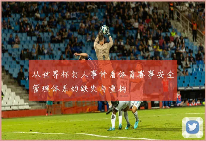 从世界杯打人事件看体育赛事安全管理体系的缺失与重构